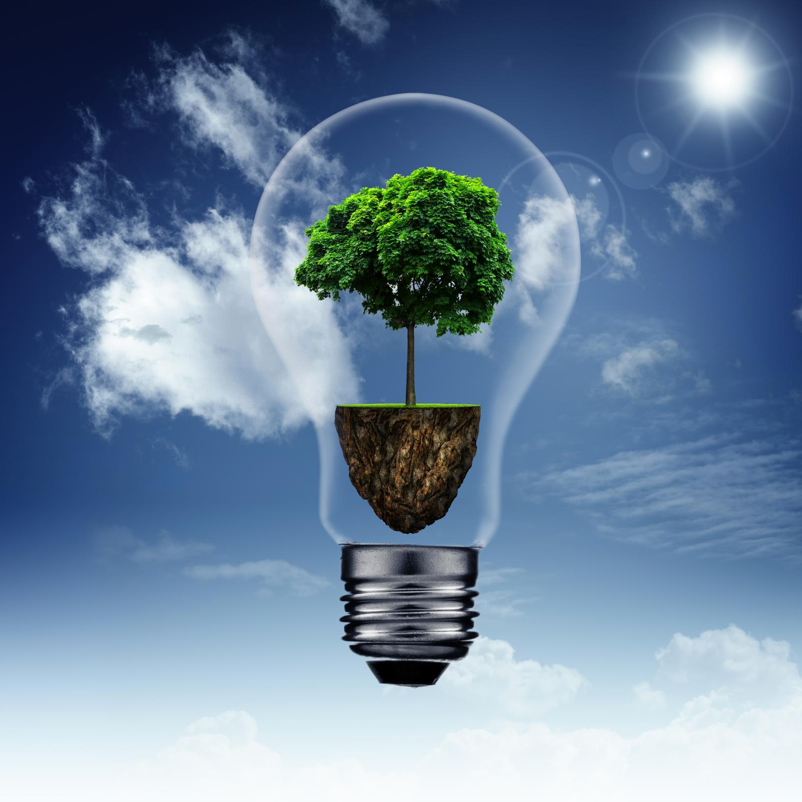 7 Ways to Save Energy in Electrical Systems